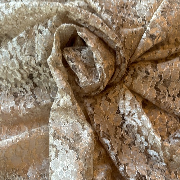 🥂BEAUTIFUL CHAMPAGNE/NUDE COLORED LACE FABRIC! - Picture 2 of 6